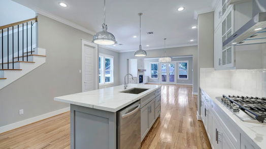 Houston 2-story, 3-bed 1022 E 28th Street-idx