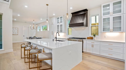 Houston 2-story, 5-bed 951 Byrne Street-idx