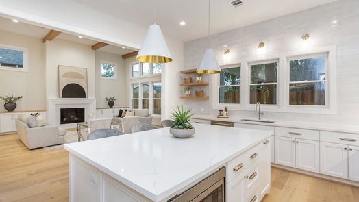 Houston 2-story, 4-bed 215 Teetshorn Street-idx