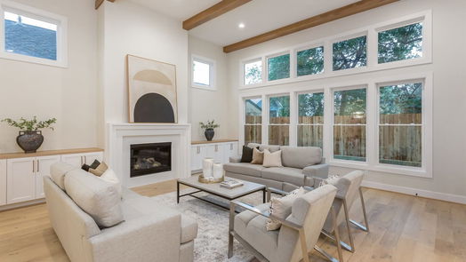 Houston 2-story, 4-bed 215 Teetshorn Street-idx