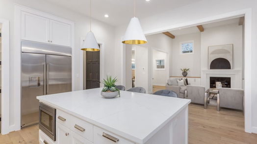 Houston 2-story, 4-bed 215 Teetshorn Street-idx