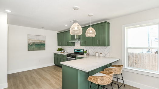 Houston 1-story, 3-bed 1118 E 29th Street-idx