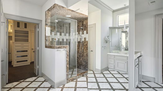 Houston 4-story, 5-bed 150 Vieux Carre Drive-idx