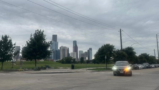 Houston 1-story, 3-bed 1511 Common st-idx