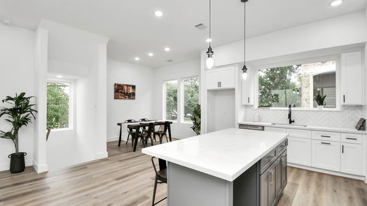 Houston 3-story, 3-bed 4804 Elysian Street D-idx