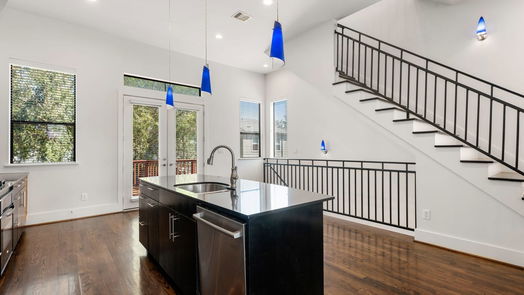 Houston 3-story, 3-bed 1118 Robbie Street-idx