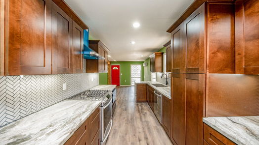 Houston null-story, 2-bed 1247 Common Park Drive-idx