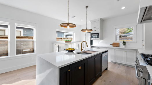 Houston 2-story, 4-bed 815 Ridge Street-idx