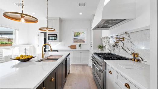 Houston 2-story, 4-bed 815 Ridge Street-idx