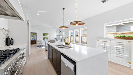 Houston 2-story, 4-bed 815 Ridge Street-idx