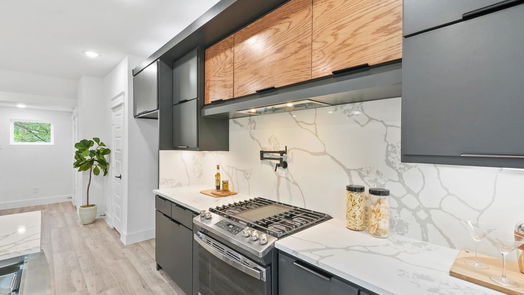 Houston 3-story, 3-bed 1003 74th Street-idx