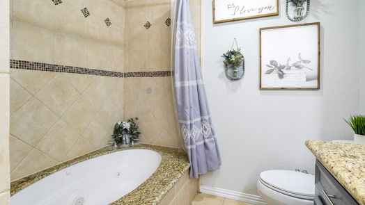 Houston null-story, 3-bed 12707 Tammarack Drive-idx