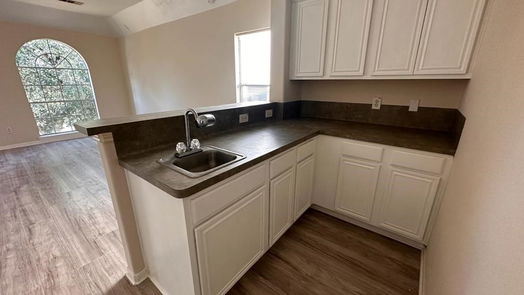 Houston 2-story, 4-bed 2223 Laurel Terrace Way-idx