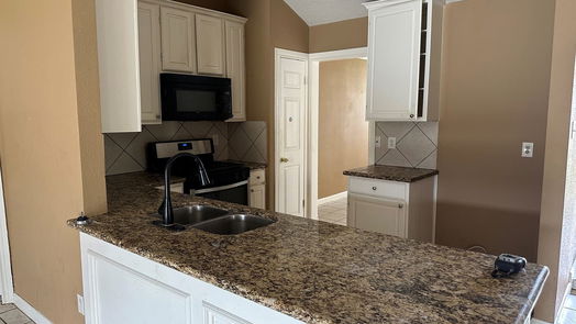 Houston 1-story, 4-bed 4219 W Terrace Creek Circle-idx