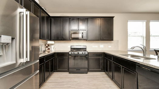 Houston 2-story, 4-bed 13022 Silverglen Run Trail-idx