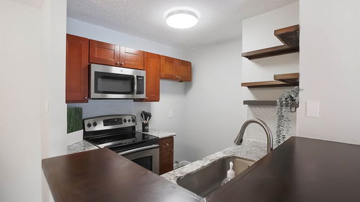 Houston 1-story, 1-bed 3770 Lovers Wood Lane 605-idx