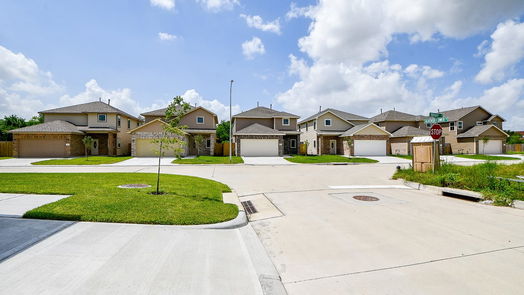 Houston 2-story, 4-bed 2807 Topiary Lane-idx