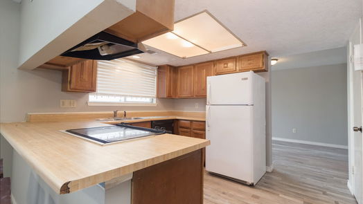 Houston 2-story, 4-bed 1802 Aldates-idx