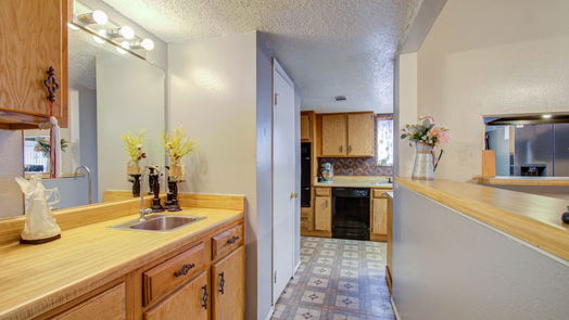 Houston 1-story, 3-bed 12554 Province Point Drive-idx