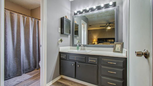 Houston 1-story, 3-bed 12554 Province Point Drive-idx