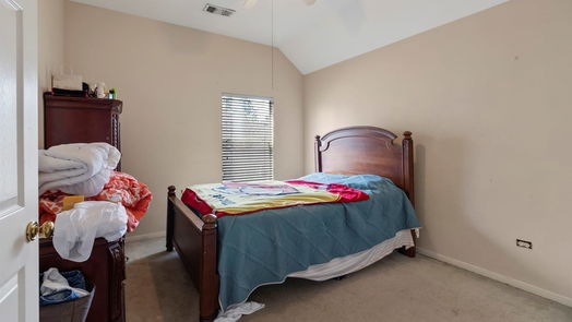 Houston 2-story, 4-bed 210 Shekel Lane-idx