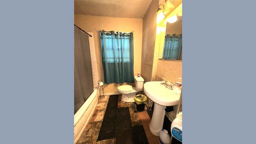 Houston 1-story, 3-bed 7314 Bigwood Street-idx