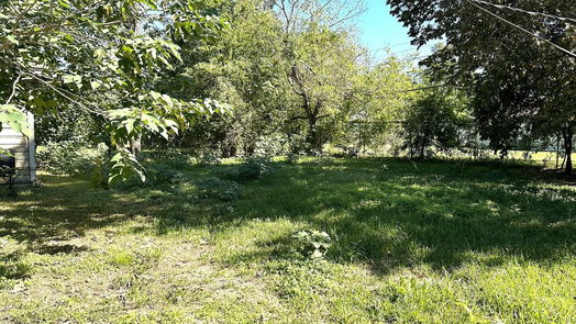 Houston 1-story, 3-bed 7314 Bigwood Street-idx