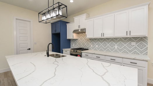 Houston 2-story, 3-bed 8420 Lanewood Drive-idx