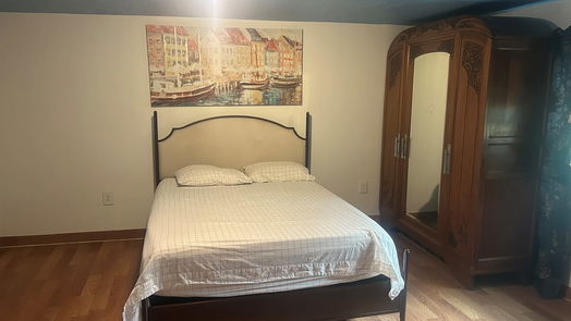 Houston 1-story, 5-bed 4405 Plaag Street-idx