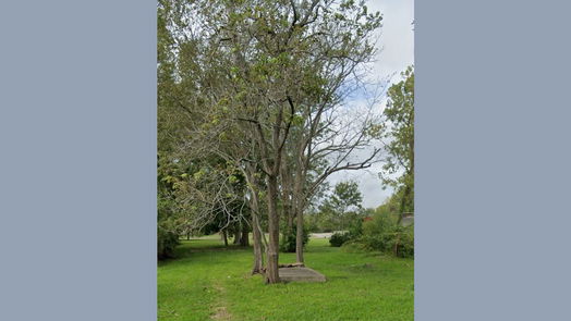 Houston null-story, null-bed 7613 Shotwell Street-idx