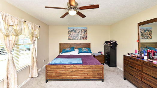 Houston 1-story, 4-bed 2506 Straight Creek Drive-idx