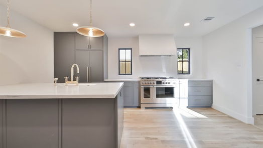 Houston 2-story, 5-bed 955 Lehman Street-idx
