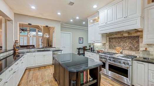 Houston 1-story, 4-bed 1729 Viking Drive-idx
