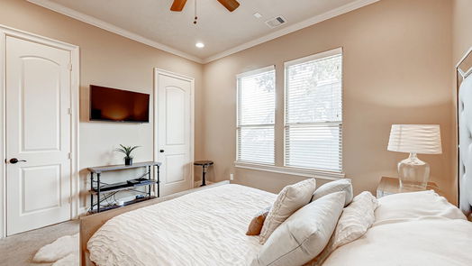 Houston 3-story, 4-bed 1636 Richelieu Lane-idx