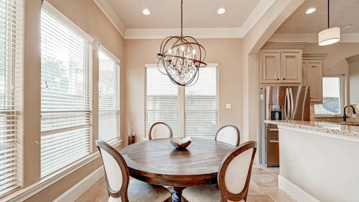 Houston 3-story, 4-bed 1636 Richelieu Lane-idx