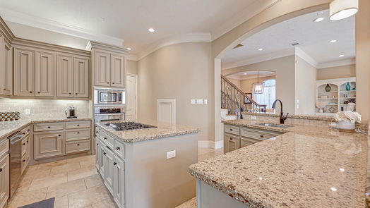 Houston 3-story, 4-bed 1636 Richelieu Lane-idx