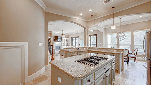 Houston 3-story, 4-bed 1636 Richelieu Lane-idx