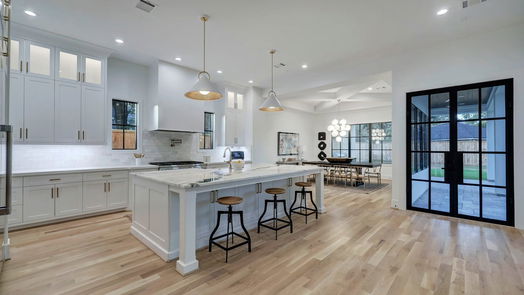 Houston 2-story, 4-bed 1638 Latexo Drive-idx