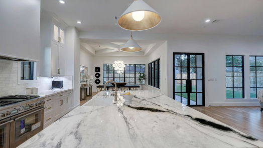 Houston 2-story, 4-bed 1638 Latexo Drive-idx