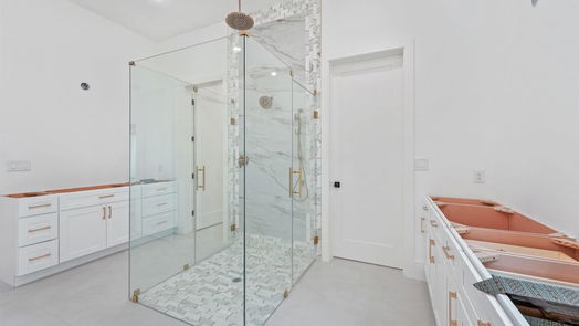 Houston 2-story, 6-bed 1338 Candlelight Lane-idx