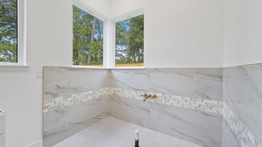 Houston 2-story, 6-bed 1338 Candlelight Lane-idx