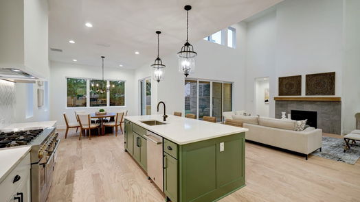 Houston 2-story, 4-bed 3716 Ella Boulevard-idx