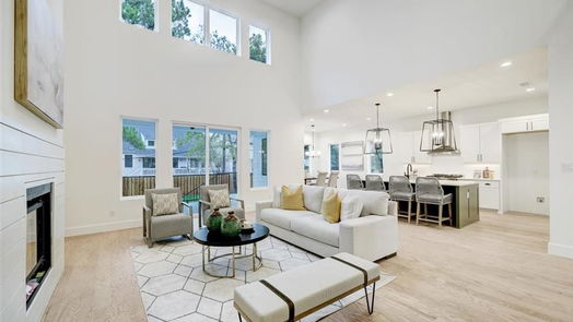 Houston 2-story, 5-bed 1707 Nina Lee Lane-idx