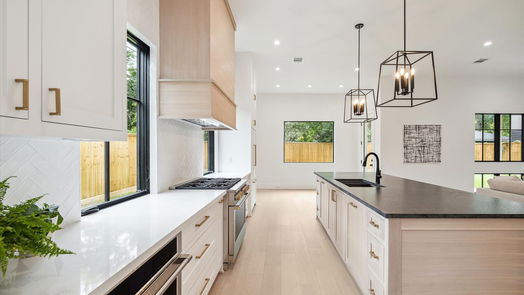 Houston 2-story, 4-bed 958 W 42nd Street-idx