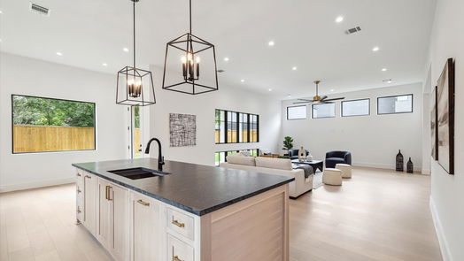 Houston 2-story, 4-bed 958 W 42nd Street-idx