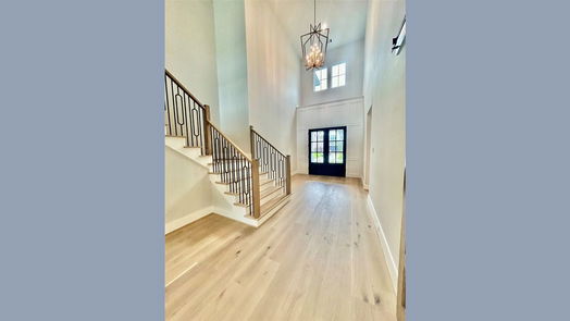 Houston 2-story, 5-bed 1619 Richelieu Lane-idx