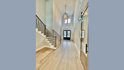 Houston 2-story, 5-bed 1619 Richelieu Lane-idx