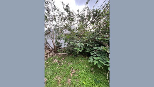 Houston 1-story, 3-bed 1807 Du Barry Lane-idx