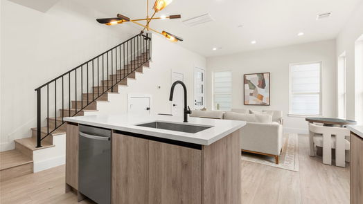 Houston 2-story, 3-bed 109 Tolima Dove Street-idx