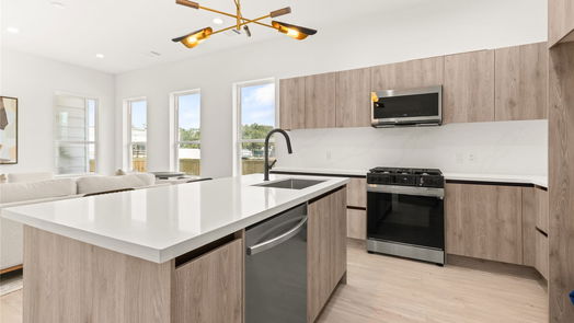 Houston 2-story, 3-bed 109 Tolima Dove Street-idx